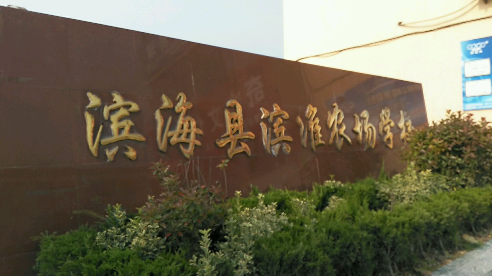 滨淮农场学校