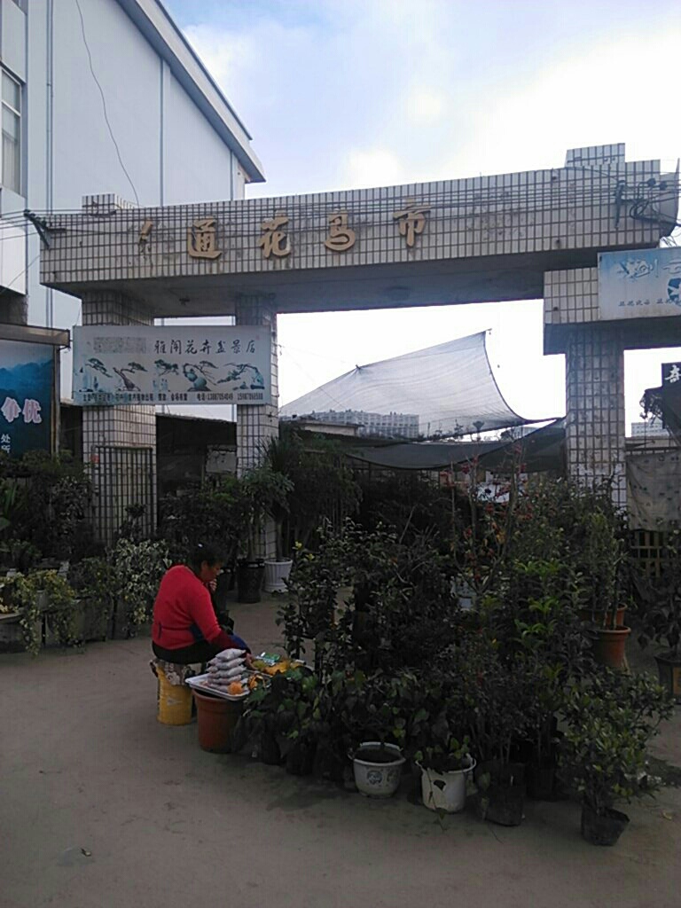 昭通花鸟市场(建设北街)