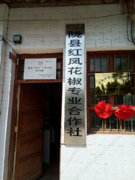 陕西省宝鸡市陇县东南镇鸡家庄村