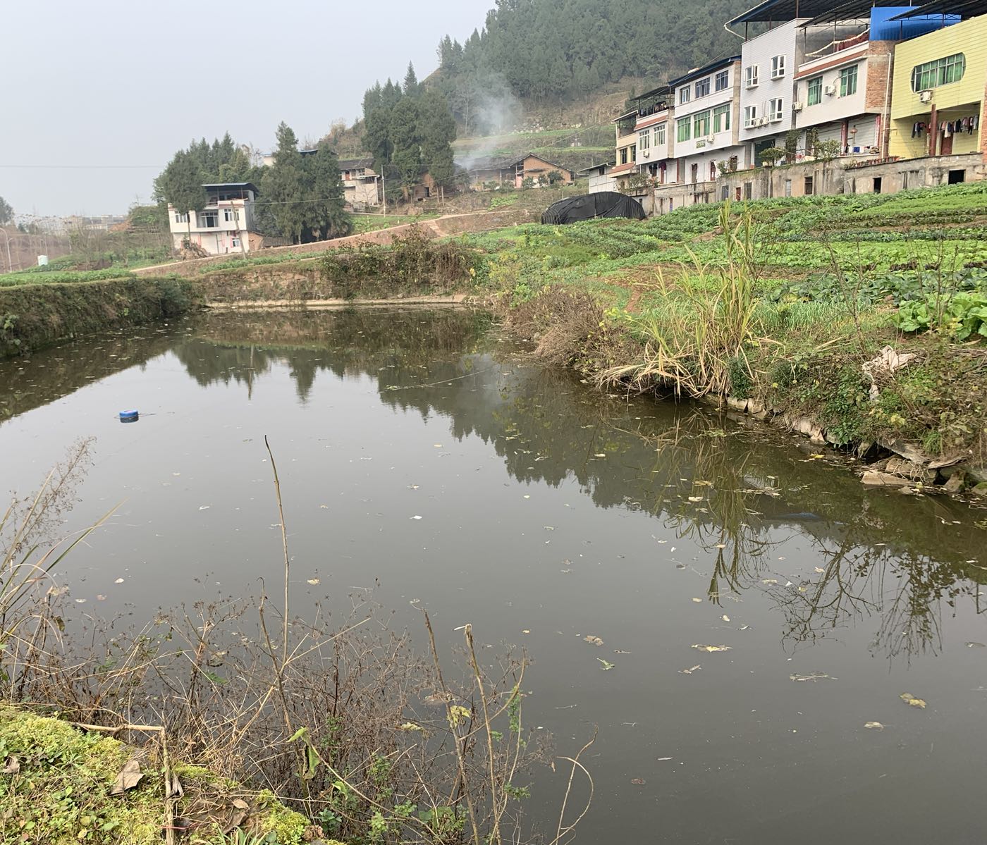 吴家湾钓鱼场