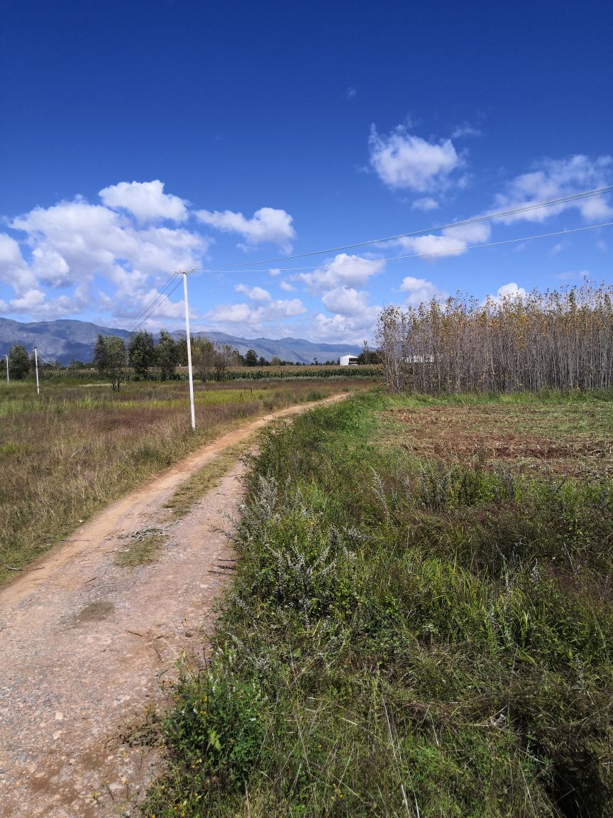 云南省大理白族自治州鹤庆县北溪村