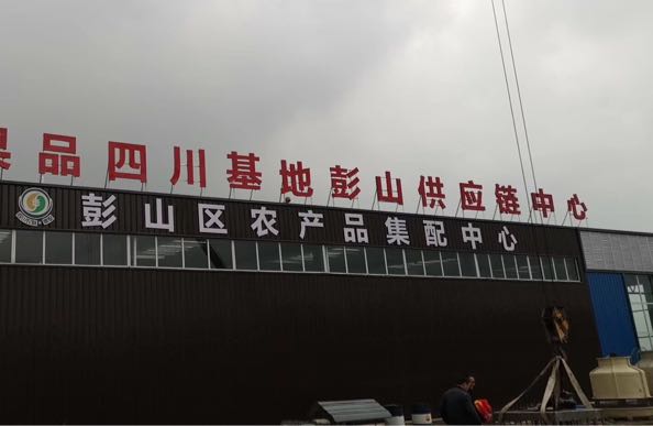 洪九果品