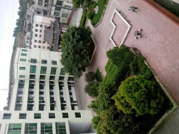 金华中学校                             地址:金华镇城隍街118号