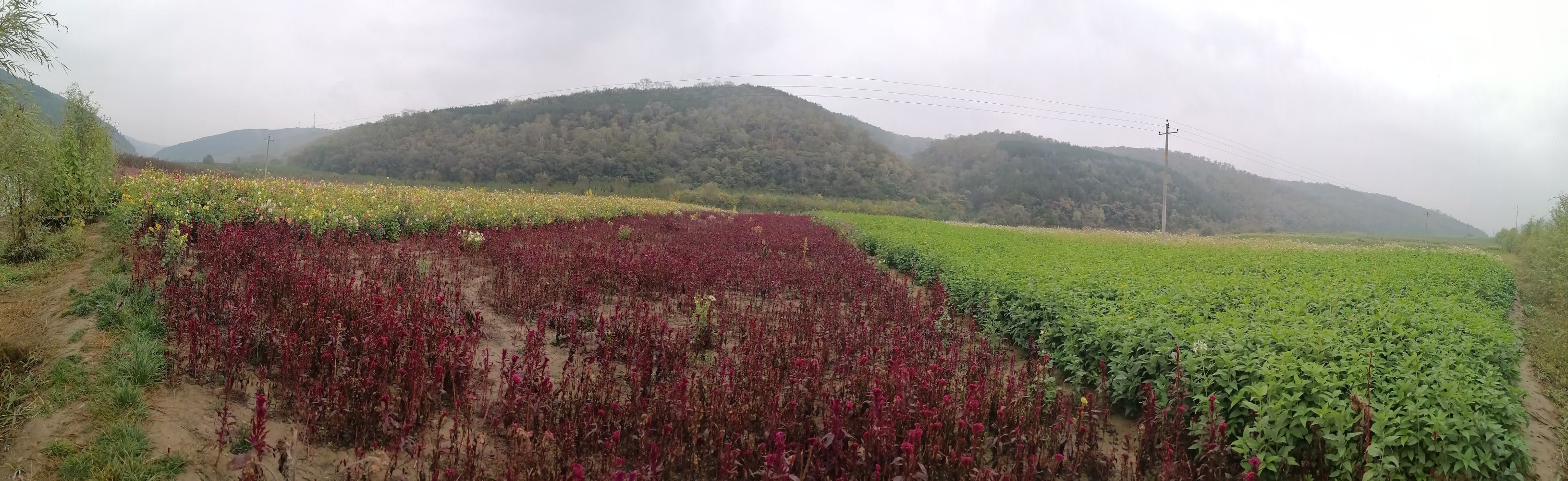 甘肃省庆阳市合水县