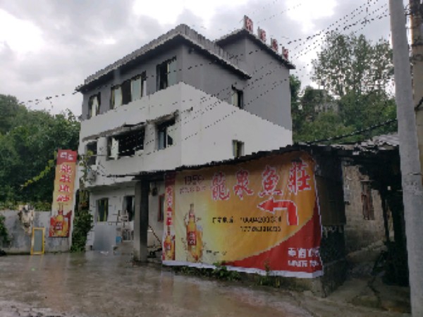 龙泉鱼庄
