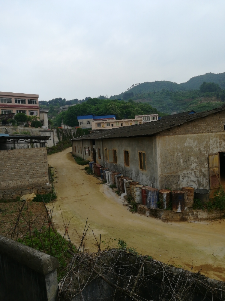 龙坑街道梳池社区茶场组                     地址:贵州省遵义市播州