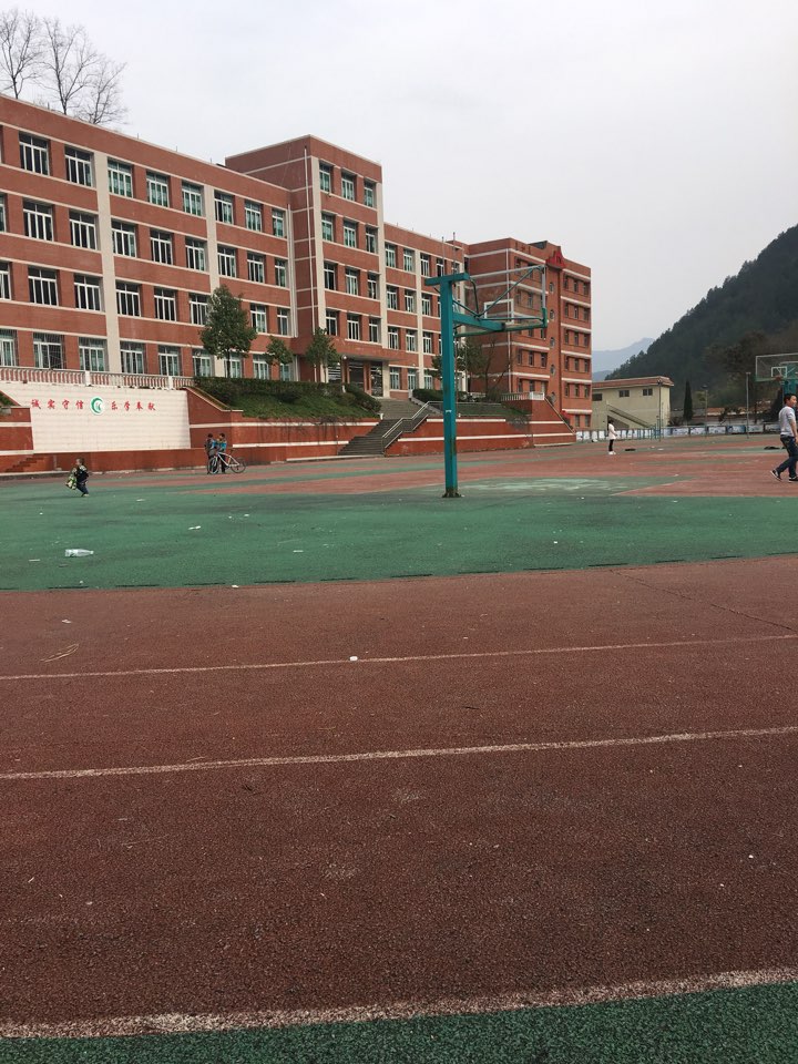 奉节县青莲初级中学