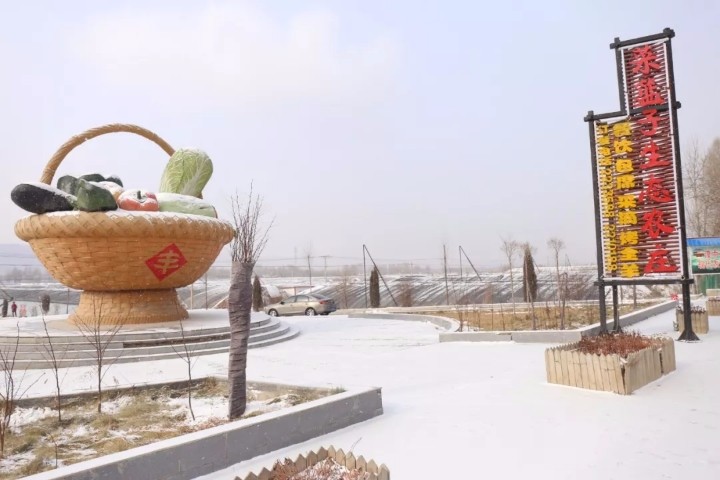 西宁市湟中区多巴镇玉拉菜篮子现代农业示范园