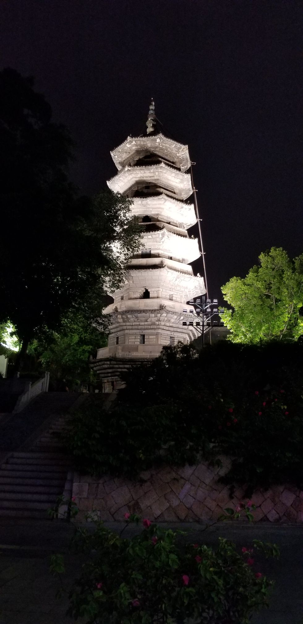 石塔寺莲