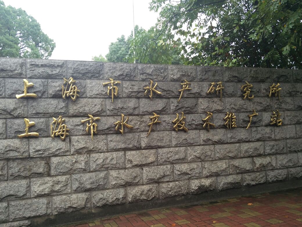 上海水产学院图片