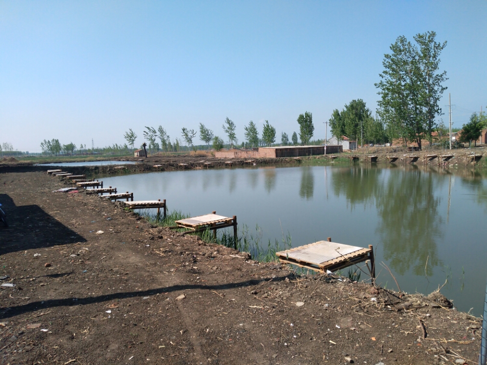 小薄甸兴农钓场