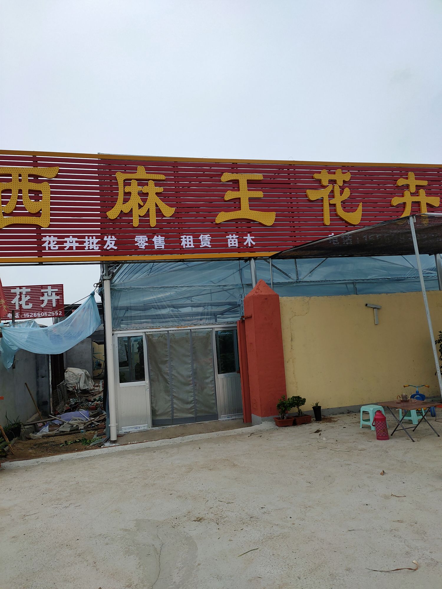 西麻王花卉