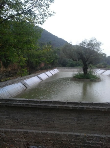 铜川市宜君县尧生镇雷塬综合服务中心九寺村荒地湾组