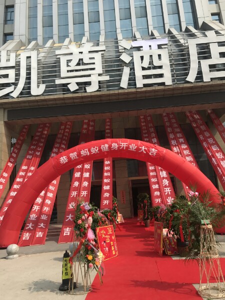 蚂蚁建设