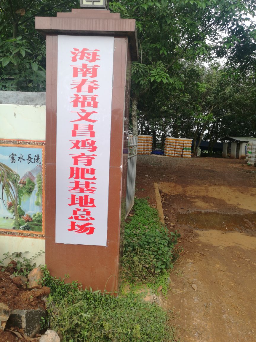 海南春福文昌鸡育肥基地总场