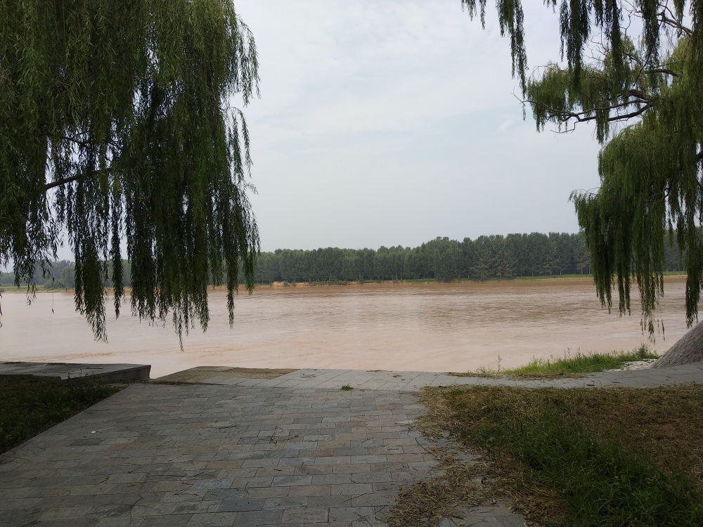 高青黄河马扎子险宫