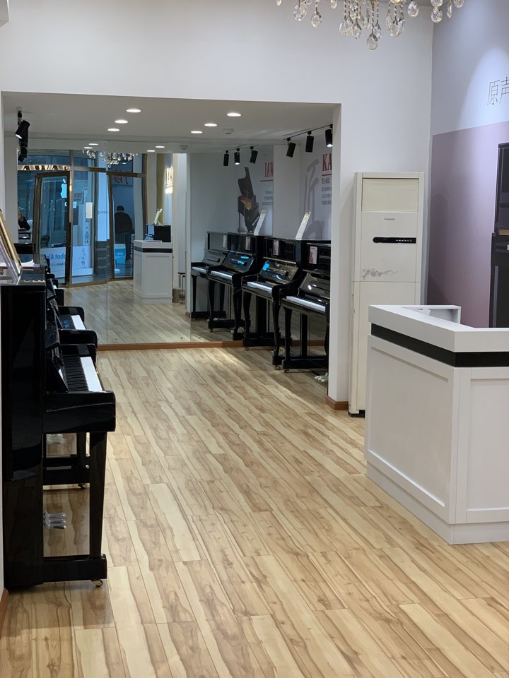 爱丽斯琴行(中心广场店)