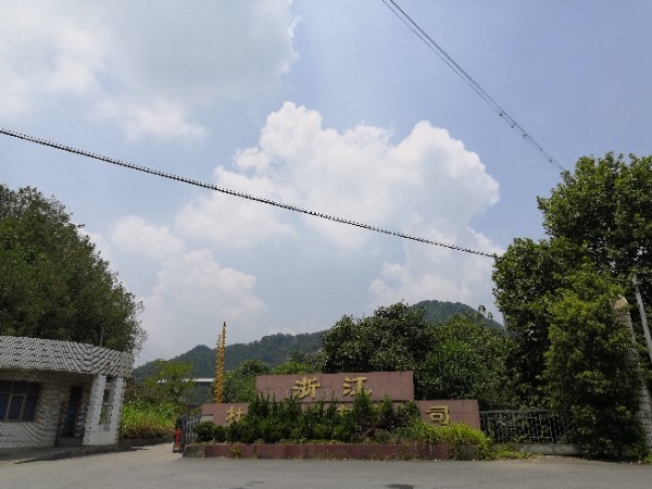 浙江杜山集团有限公司