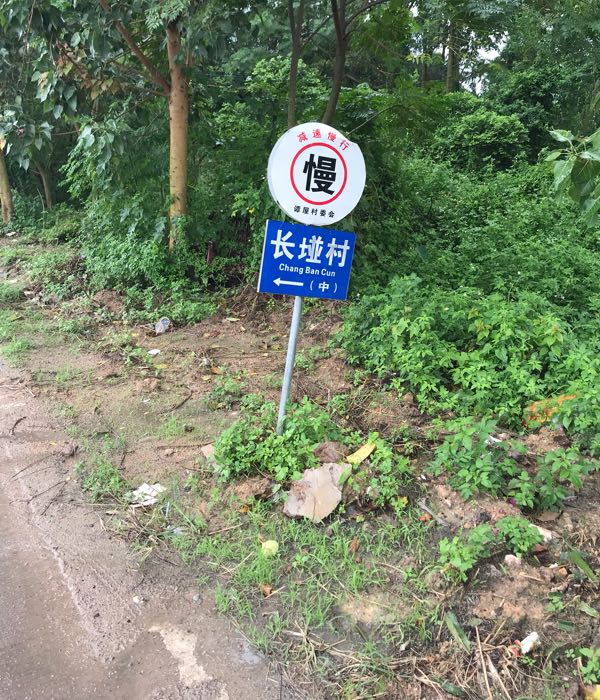 广东省茂名市茂南区金塘镇谭屋长湴村