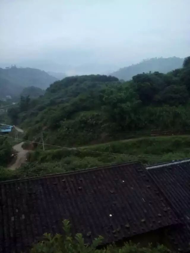 茂名市信宜市