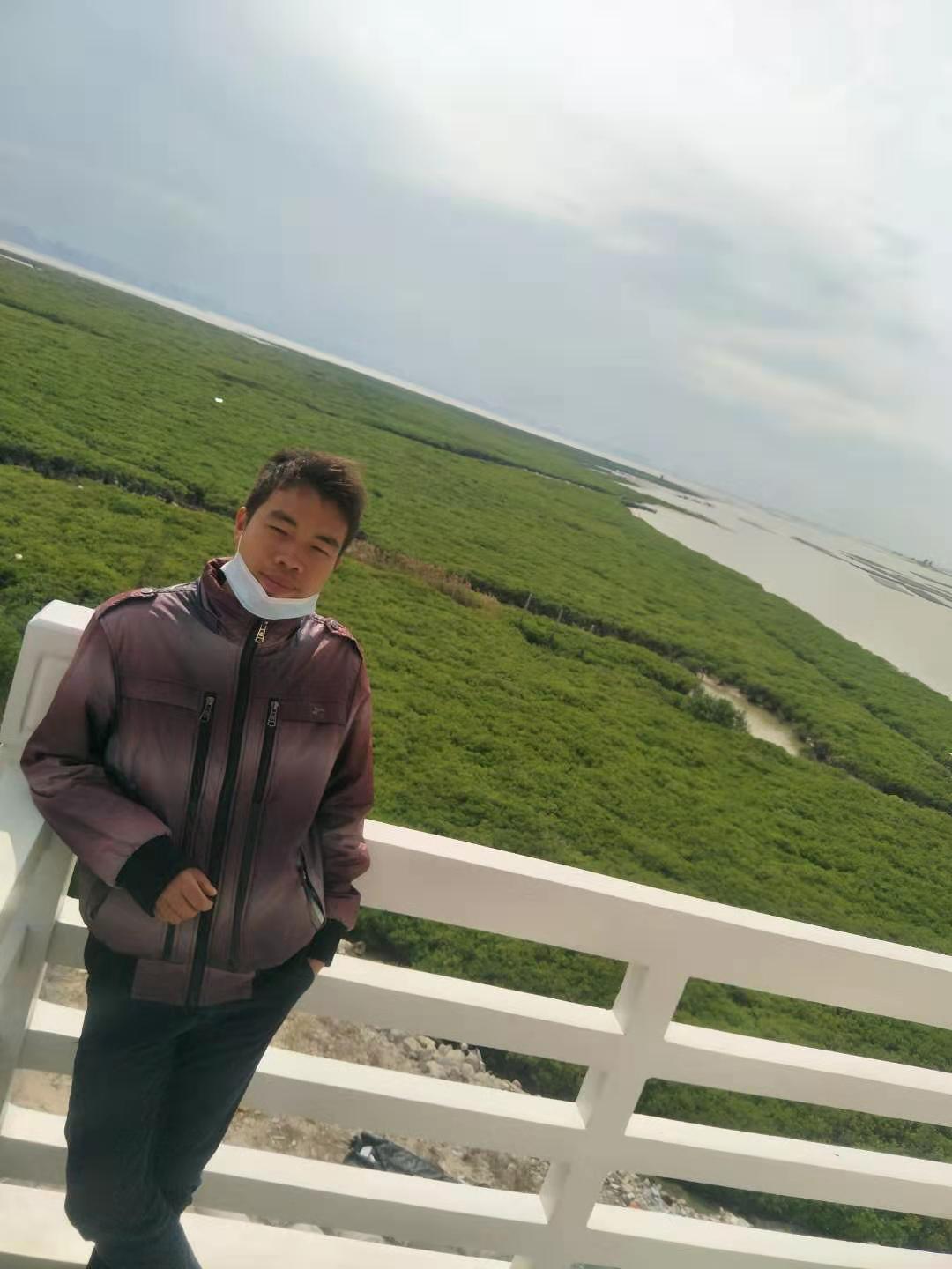 垌尾红树林