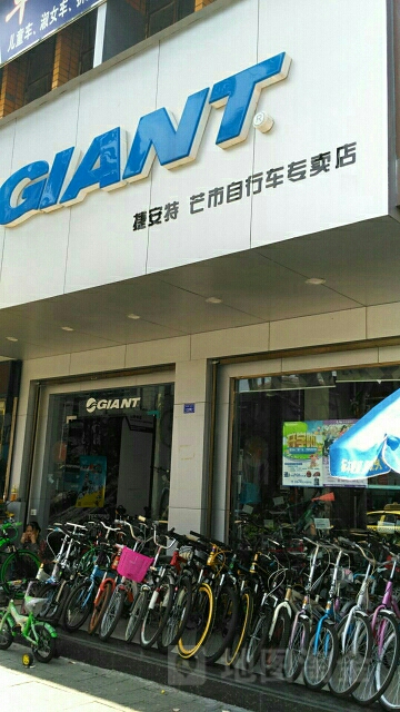 捷安特芒市自行车专卖店(芒市自行车专卖店)