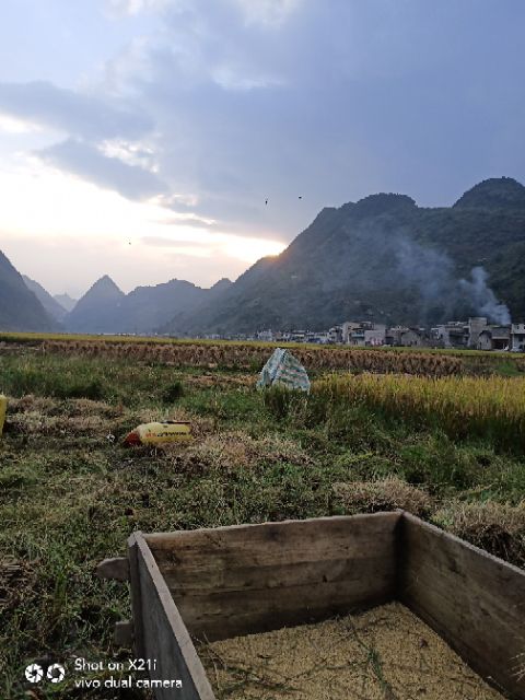 安顺市普定县