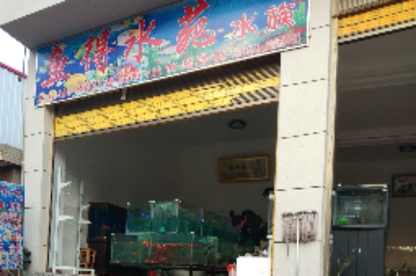 鱼的水苑水族