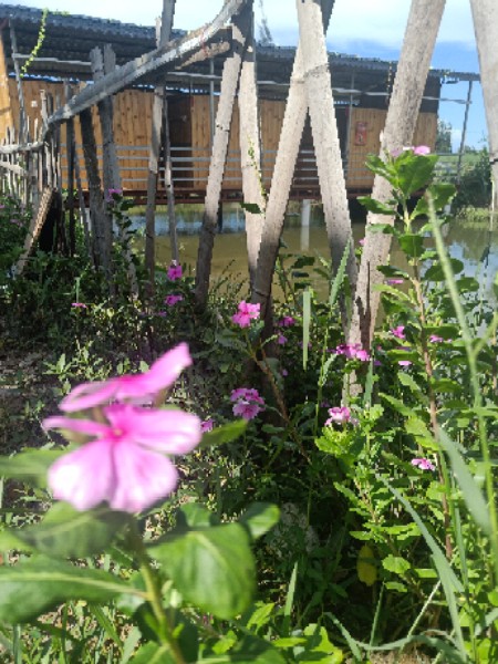 龙新民宿美食海鲜土窑