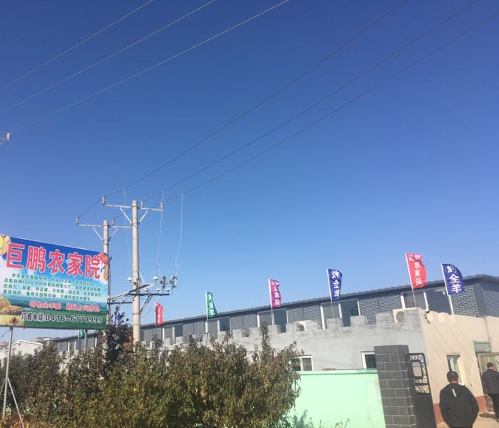 巨鹏大洒店