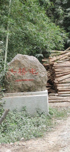 广西壮族自治区河池市大化瑶族自治县都阳镇双福村头桥屯