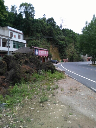 水府活鱼馆