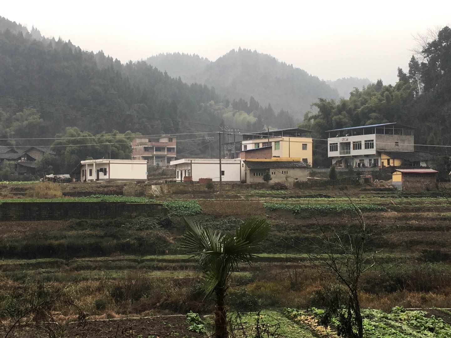 广安市邻水县