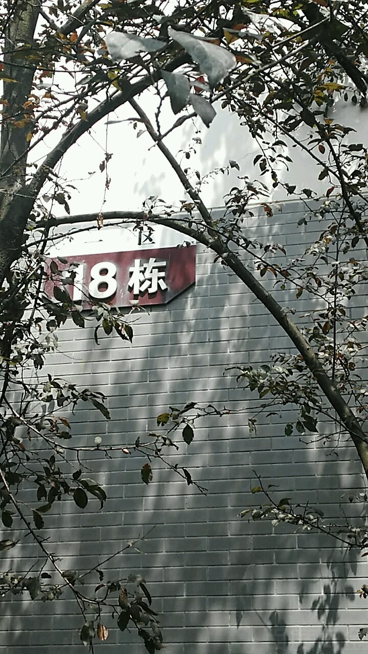 怎么去,怎么走):  湖南省长沙市天心区桂花坪街道宜春路九峰小区