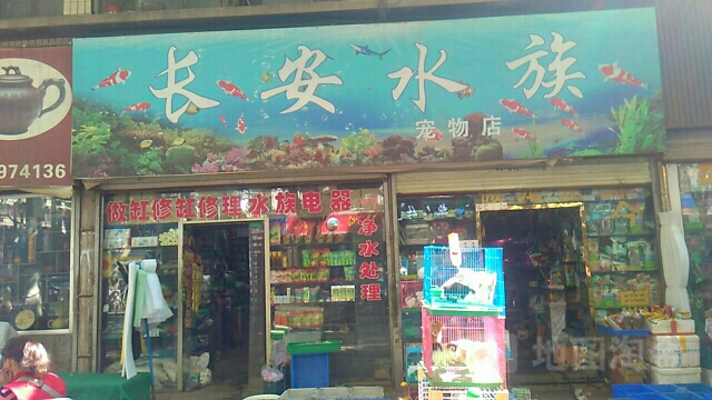 长安水族宠物店