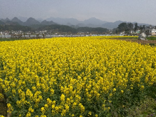 遵义市红花岗区