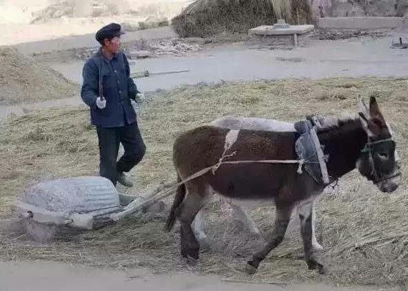 信阳市淮滨县