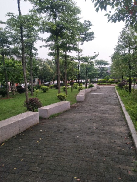 路线,公交,地址,地图,预定,价格,团购,优惠,村头公园在哪,怎么走_东莞