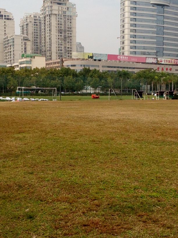 体育中心足球场地