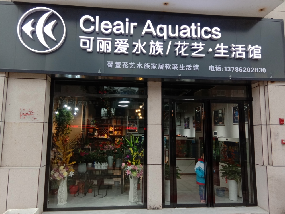 可丽爱水族花艺生活馆