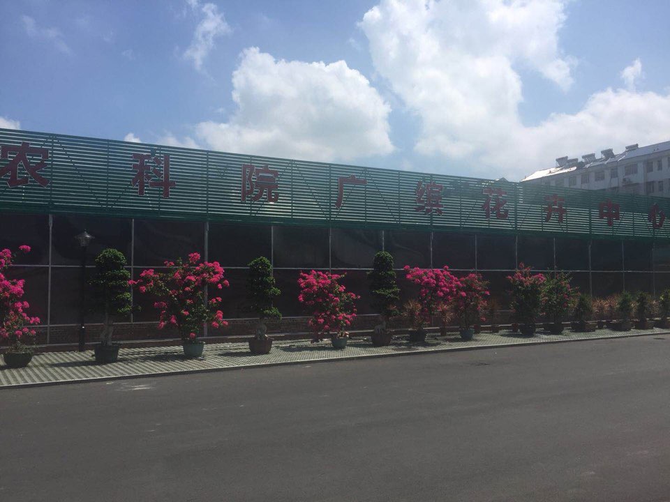 农科院广缤花卉中心