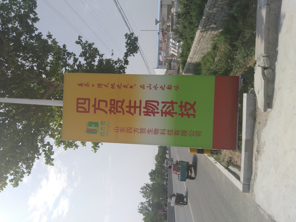 山东省烟台市莱州市杏园村