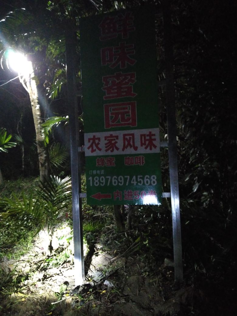鲜味蜜园椰子鸡农家乐