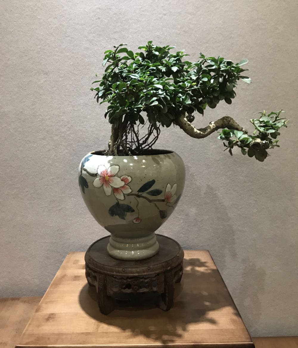 郊区标签: 花店 购物 商铺  韦爵爷时尚花艺生活馆共多少人浏览