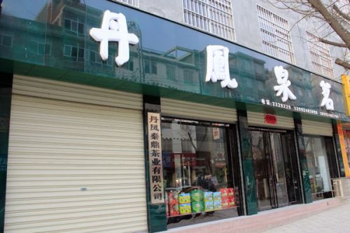 丹凤泉茗