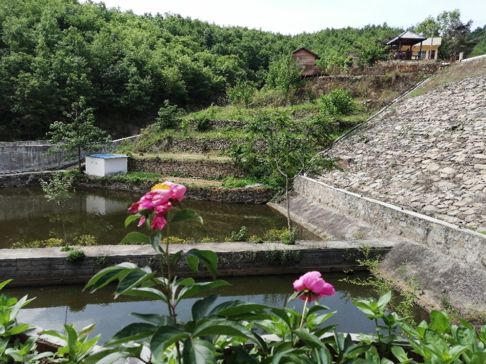 河南省平顶山市鲁山县