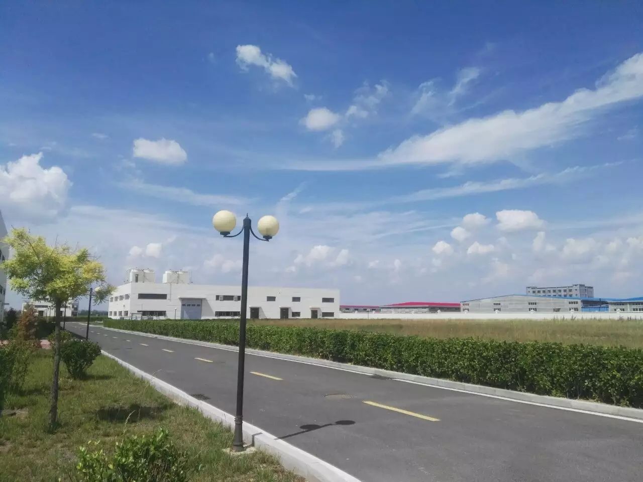 青岛百洋制药有限公司