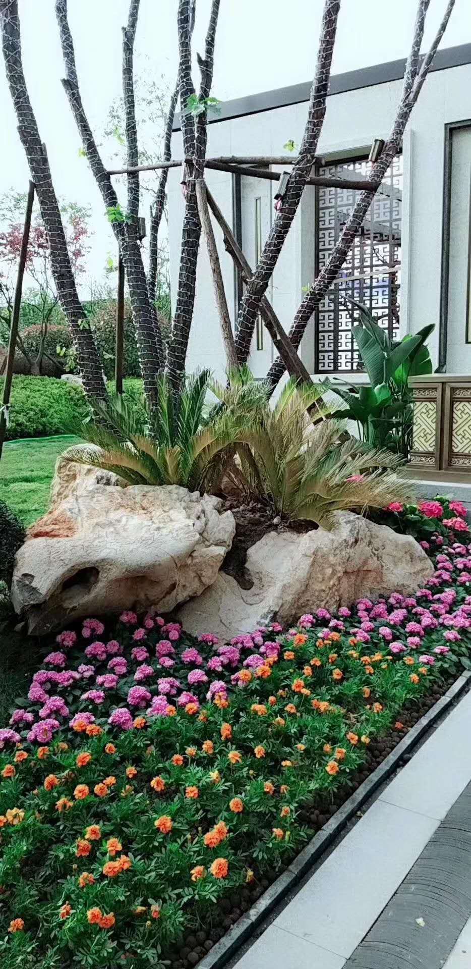 信友天润府