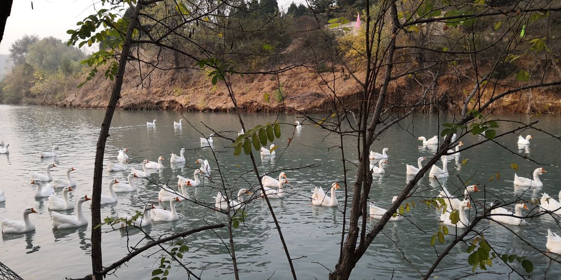 河北省沧州市海兴县小山乡曹庄子村