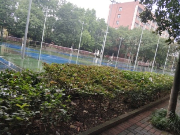 重庆大学B区-露天灯光羽毛球场